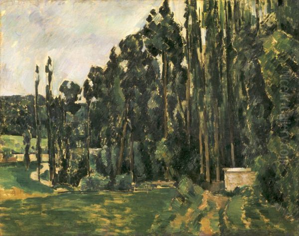 Poplars - view 1