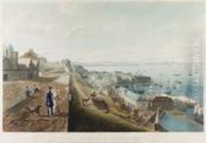 The Lower City Of Quebec From The Parapet Of The Upper City