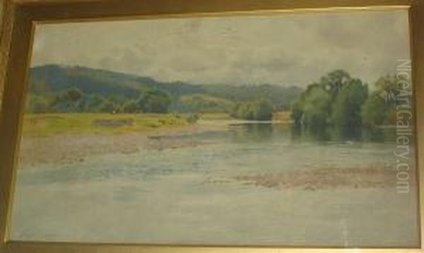 The Vyrnwy River - view 1