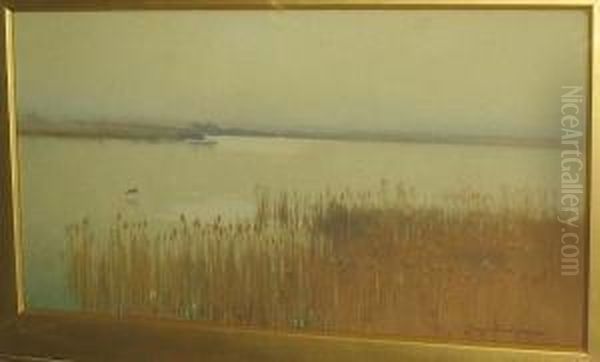A Hazy Autumn Morning - view 1