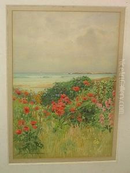 The Studio Garden, Rhosneigr - view 1