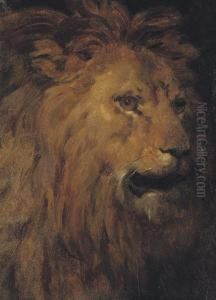 Head Of A Lion In Three-quarter Profile To The Right