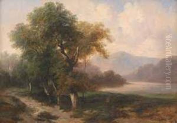 Arbres Au Bord D'un Lac De Montagne - view 1