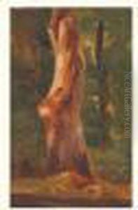 Etude D'arbre Etude D'arbre