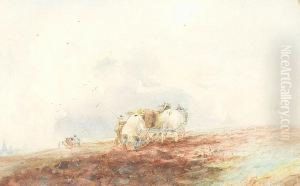 Ploughing by Jan David Col