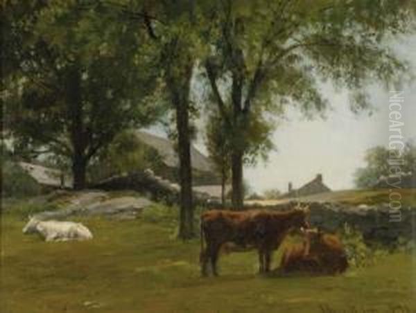 New England Farm With Cattle Resting - view 1