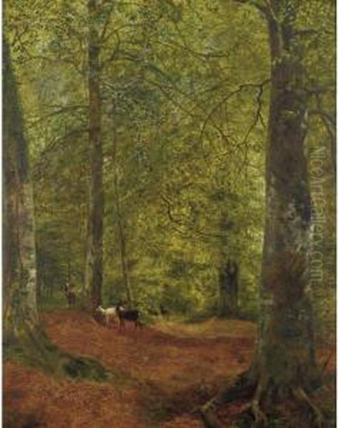 Deer In The Woods - view 1