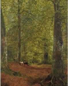 Deer In The Woods by Rex Vicat Cole