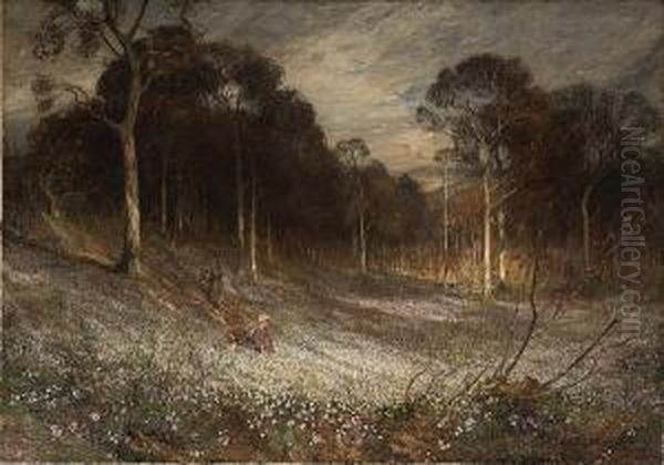 Woodlands Gay With Lady Smocks - view 1