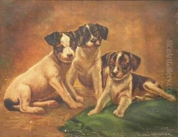 Three Puppies - view 1