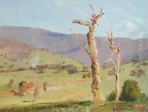 Landscape - view 1