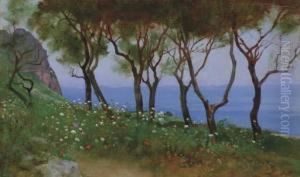 Cesina Landscape: Study For "twilight And Poppies" by Charles Caryl Coleman