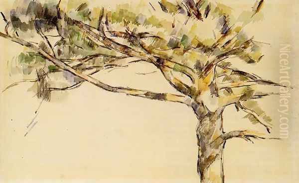 Large PIne (study) - view 1