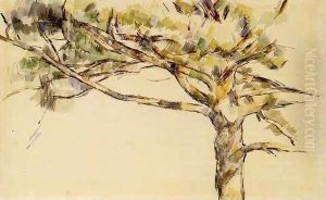 Large PIne (study)