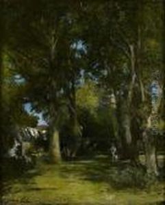 Promeneur Et Son Chien Dans La Foret