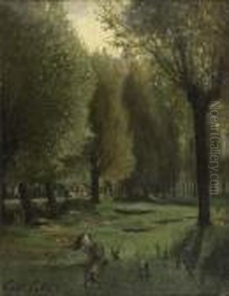 Sous-bois - view 1