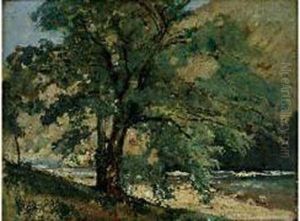 Riviere Et Arbre