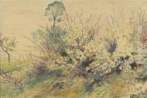 Massif Fleuri