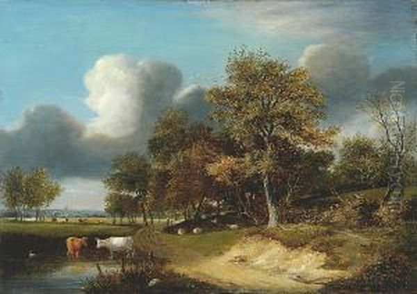 Cattle Watering By A Woodland Path - view 1