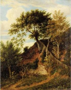 Wooded Landscape
