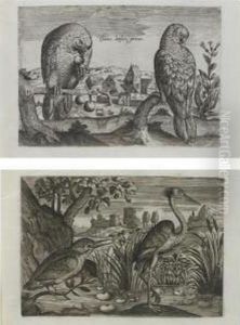 [venice:] Jacomo Paulini, [ca. 1600] by Adriaen Collaert