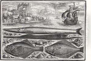 Piscium Vivae Icones (see Holl.648-678) by Adriaen Collaert