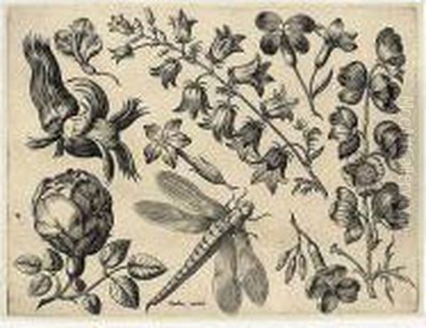 Florae Deae Inter Patrios &
Exoticos Flores Sedentis Artificiosa Delineatio (not In Hollstein) - view 1