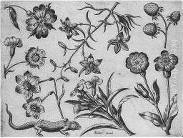 Florae Deae Inter Patrios &
Exoticos Flores Sedentis Artificiosa Delineatio (not In Hollstein) - view 1