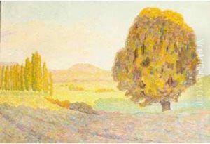 Paysage Au Tilleul
