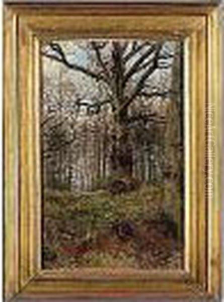 The Hon. , -, Woodland Scene,
Signed L.l.: John Collier, Oil On Canvas Board, 60 By 37 Cm.; 23i By
13iin - view 1