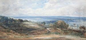 Extensive Landscape