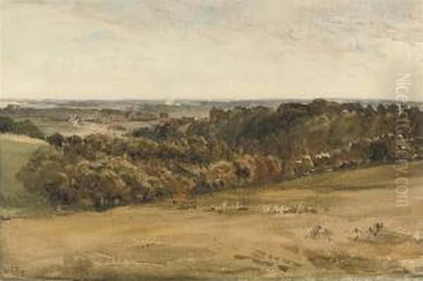 Arundel Castle From The Downs, West Sussex - view 1