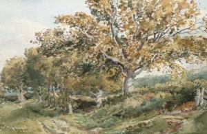 Near Haslemere Near Haslemere