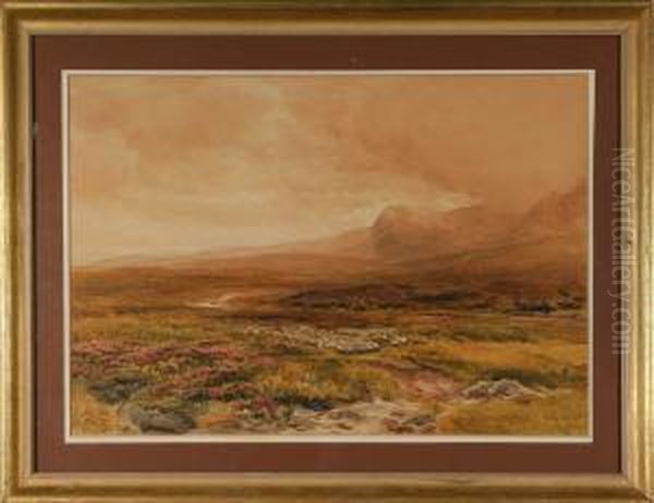 Valley With Mountains Of Scotland - view 1