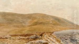 The Downs