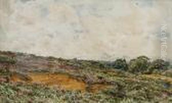 Fittleworth Common, Sussex - view 1