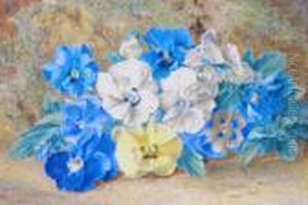 Still Life Of Pansies - view 1