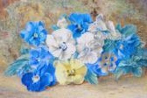 Still Life Of Pansies by Thomas Collier