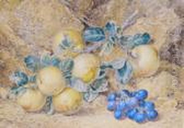 Still Life Of Apples And Grapes - view 1