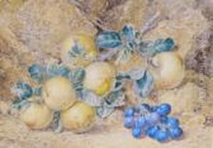 Still Life Of Apples And Grapes by Thomas Collier