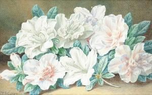Still Life Of Flowers