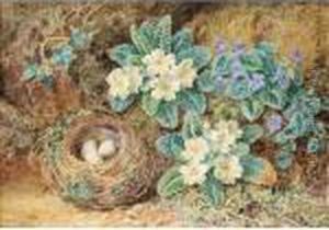 Still Life Of Bird's Nest With Primroses And Ivy