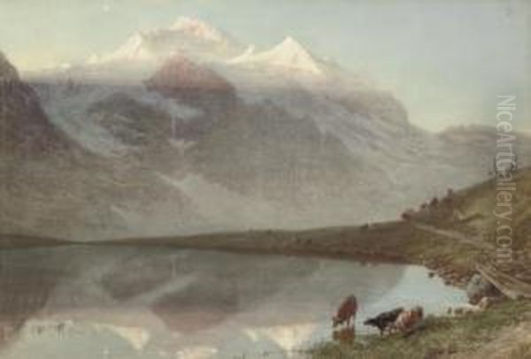 The Jungfrau At Sunrise - view 1