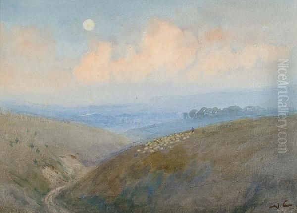 Sheep On A Hillside - view 1