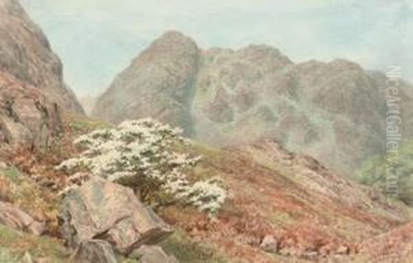 Raven Crag, Yewdale, Coniston ; And A Woodland Path - view 1