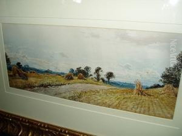 Harvest Landscape - view 1