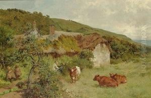 In Coombe Valley, Kilkhampton, Cornwall