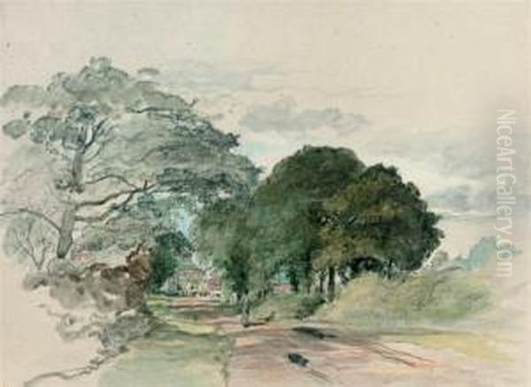 A Country Lane (illustrated); And Study Of Trees - view 1