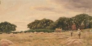 In The Hay Fields