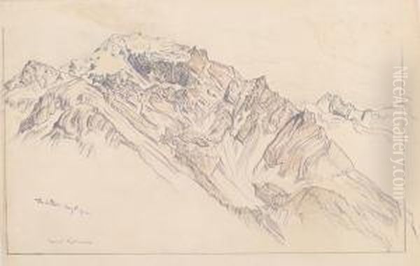 Landscape - view 1